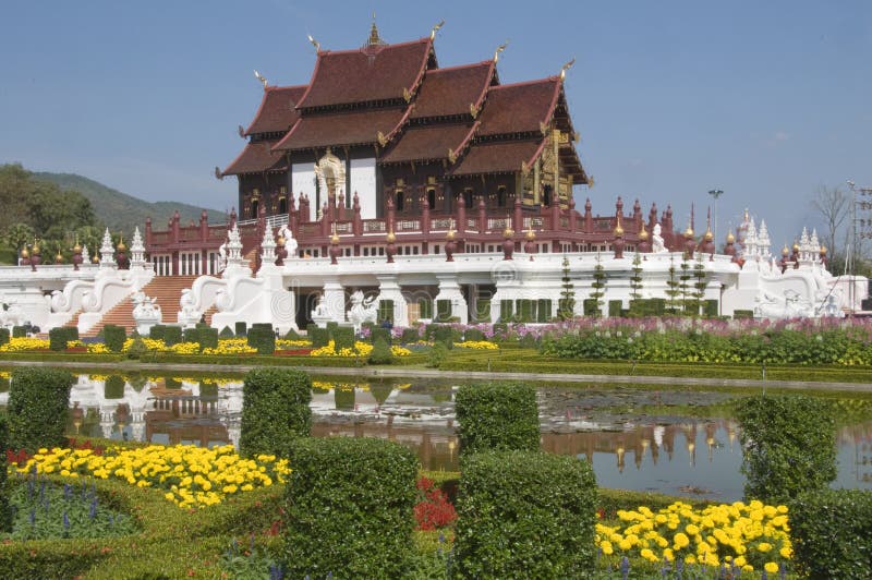 Flory królewski świątynny Thailand
