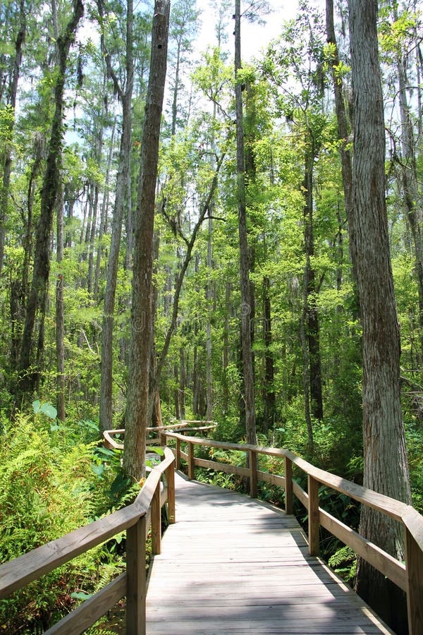 Floryda Boardwalk obrazy stock Floryda Boardwalk obrazy stock