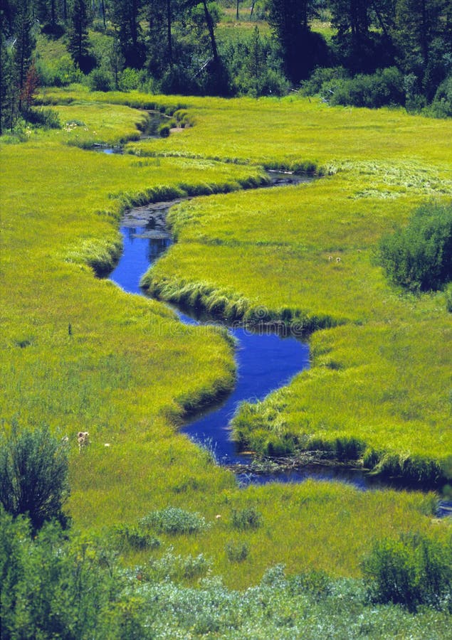 Flot de méandre par un pré photos libres de droits Flot de méandre par un pré photos libres de droits