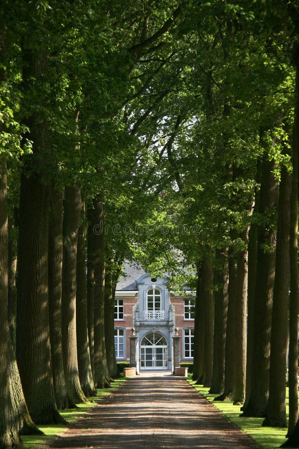 flott boulevard royaltyfri bild flott boulevard royaltyfri bild