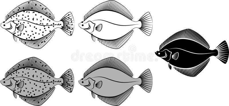 How to DRAW FLOUNDER Easy Step by Step The Little Mermaid Character -  YouTube