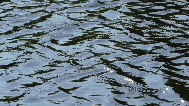 Flow of the river in the glare of the sun. stock video footage