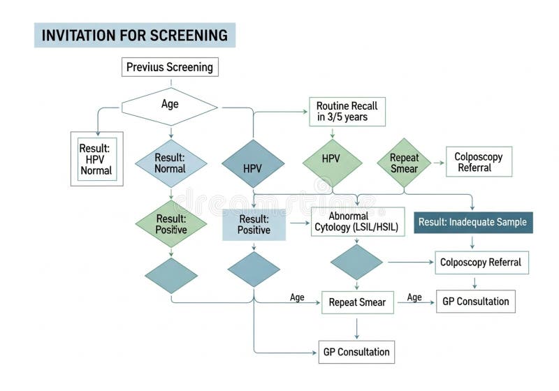 Flowchart illustrates a screening process for royalty free illustration