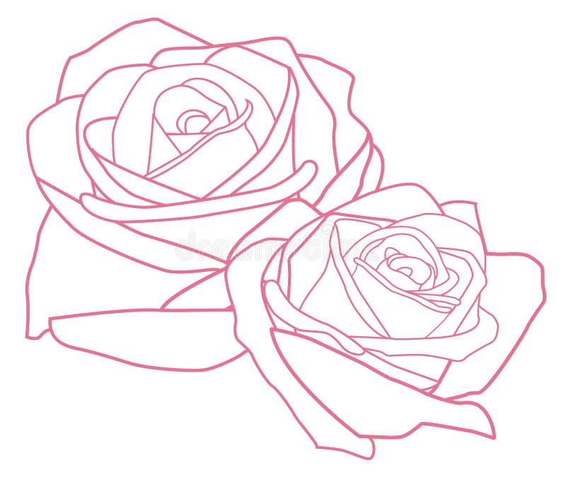 Flower stock illustration