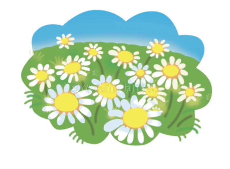 Flower - field with daisies, cartoon illustration