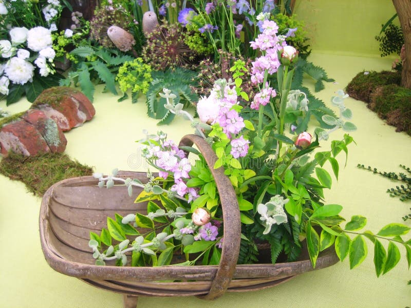 Flower arrangement stock image. Image of tropical, closeup 6458267