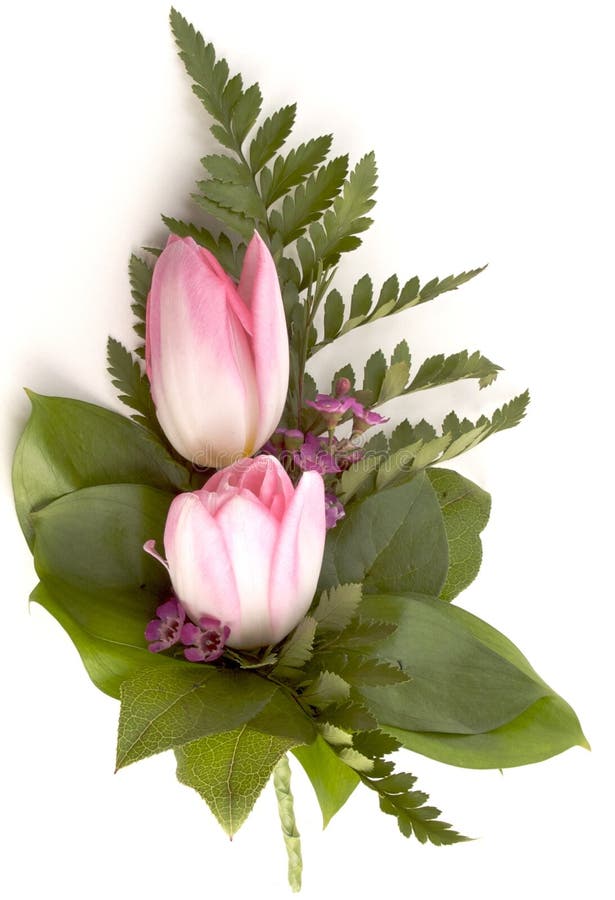 Flower arrangement stock image. Image of blossom, small 8138325