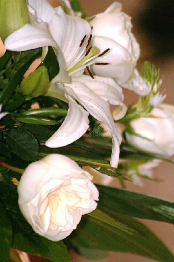 Flower arrangement with white rose and white lily stock photos Flower arrangement with white rose and white lily stock photos