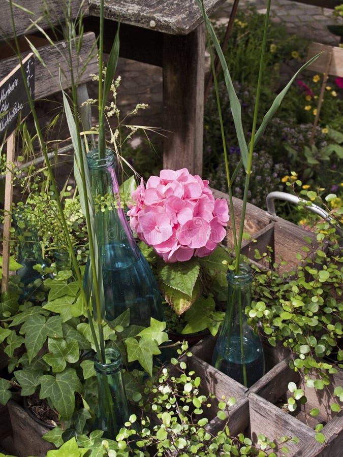 Flower Arrangements in a Flower Shop Stock Photo Image of arrangement