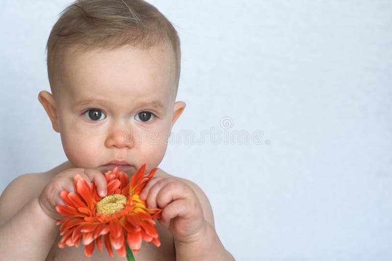 Flower Baby stock image. Image of precious, gaze 2064945