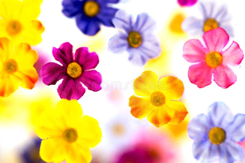 Colorful artificial flowers floating in 3D foto. Colorful artificial flowers floating in 3D foto