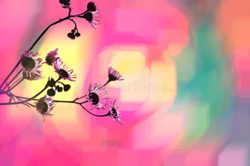 Flower background