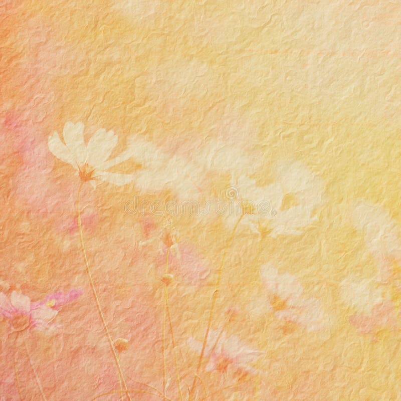 Flower background stock photos