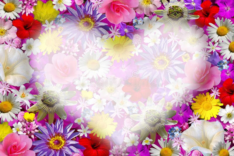 Flower background with heart.