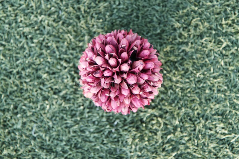 Decorative Flower Ball, Quilling Stock Image Image of ball, petal 23639935