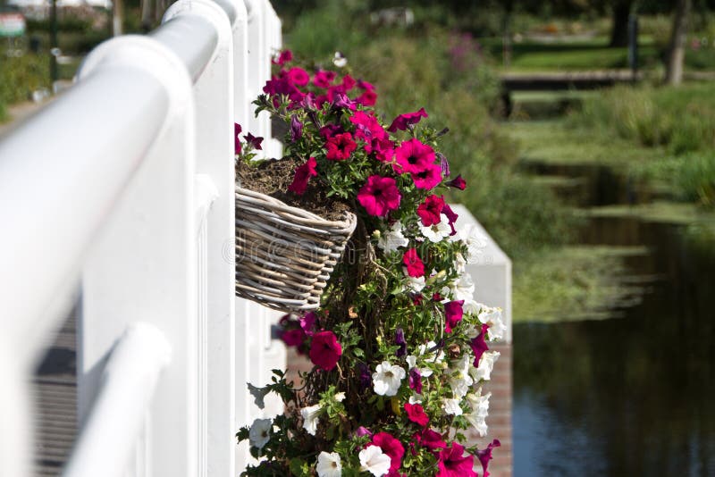 Flower Baskets Hanging on the Railing of a Bridge Stock Photo Image