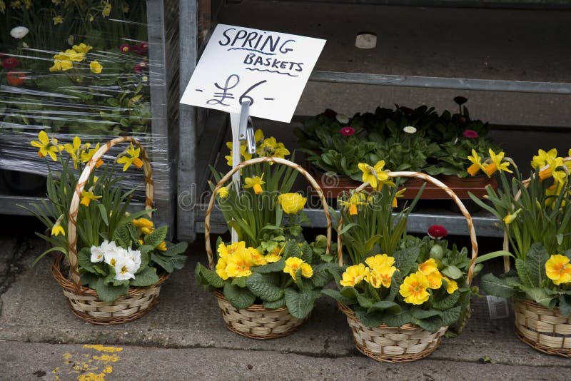 Flower baskets on sale stock photo. Image of retailed 4802796
