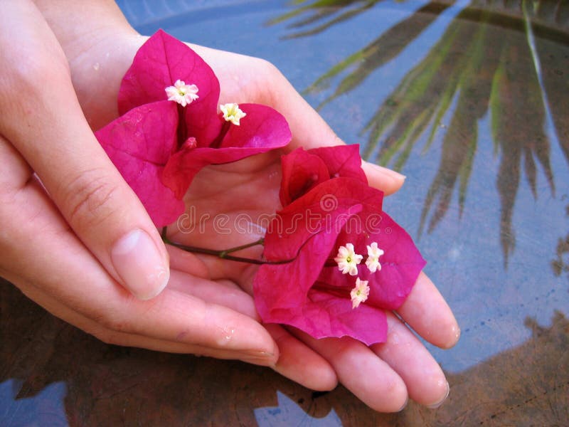 Flower Bath 2