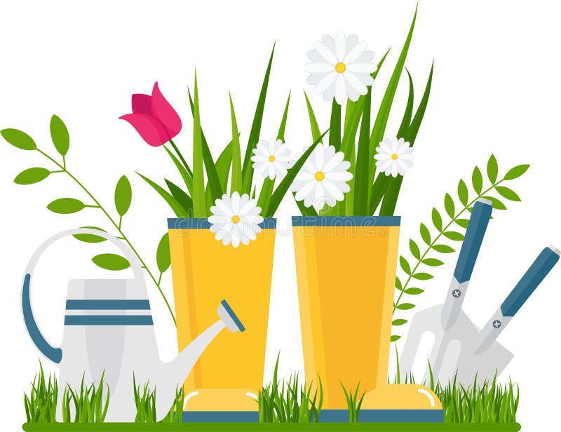 Flower Bed in the Front Garden Stock Vector Illustration of farm