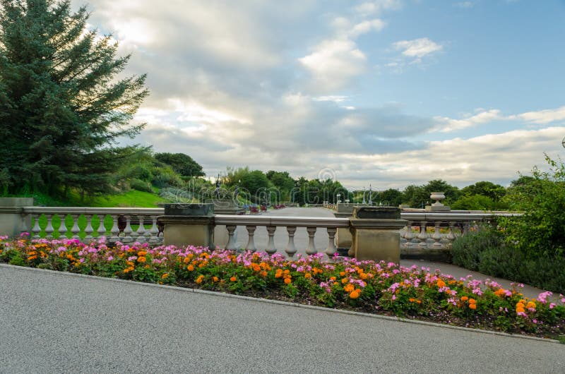 Flowers at the Terrace, South Marine Park, South Shields