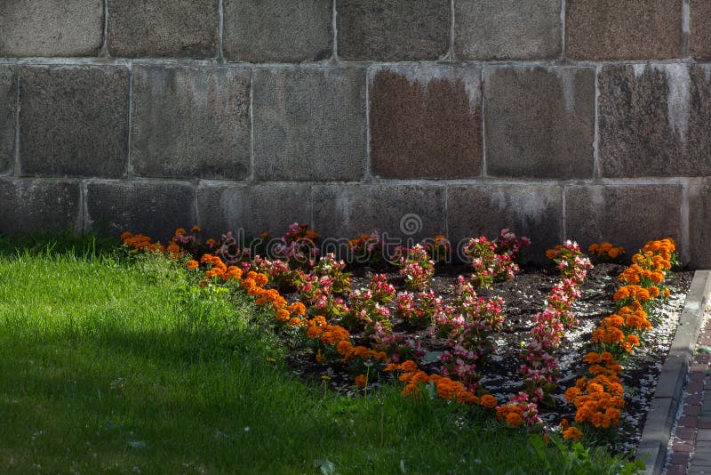 Flower Bed with Orange Marigolds. Stock Photo Image of flowers