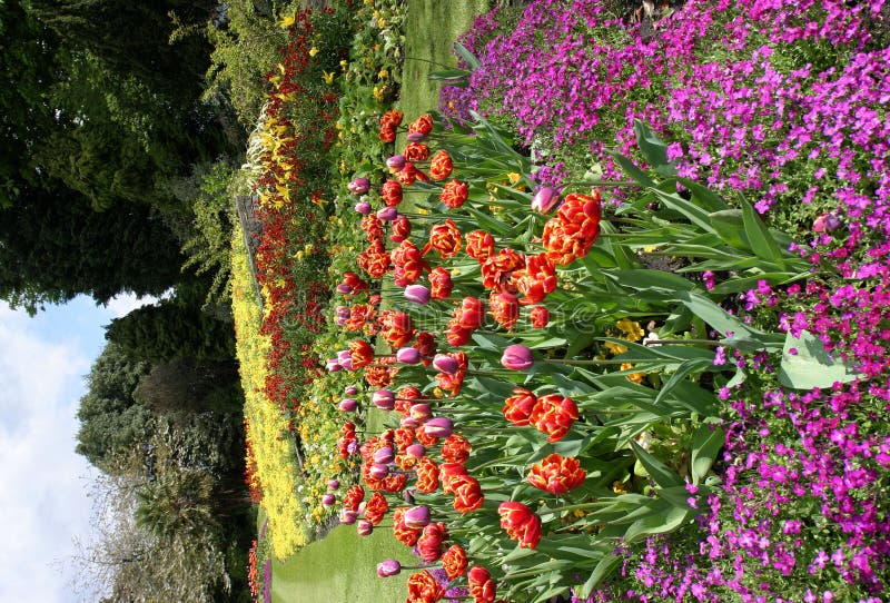 Flower Beds Park Garden Display Stock Photo Image of borders, season
