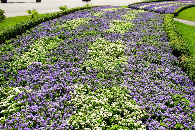 Flower beds in the park stock photo. Image of green, environment - 97407418