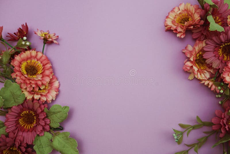 Flower Border Frame On Purple Background Stock Photo - Image of ...