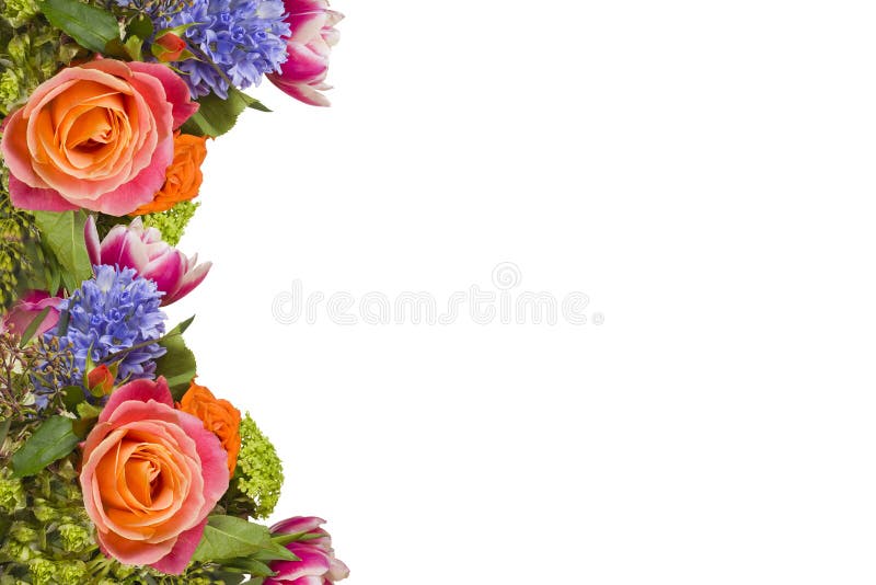 Flower Border Stock Photo Image Of Spring Petals Flower 13960172