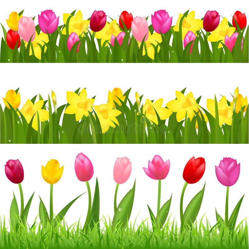 Flower Borders. Vector