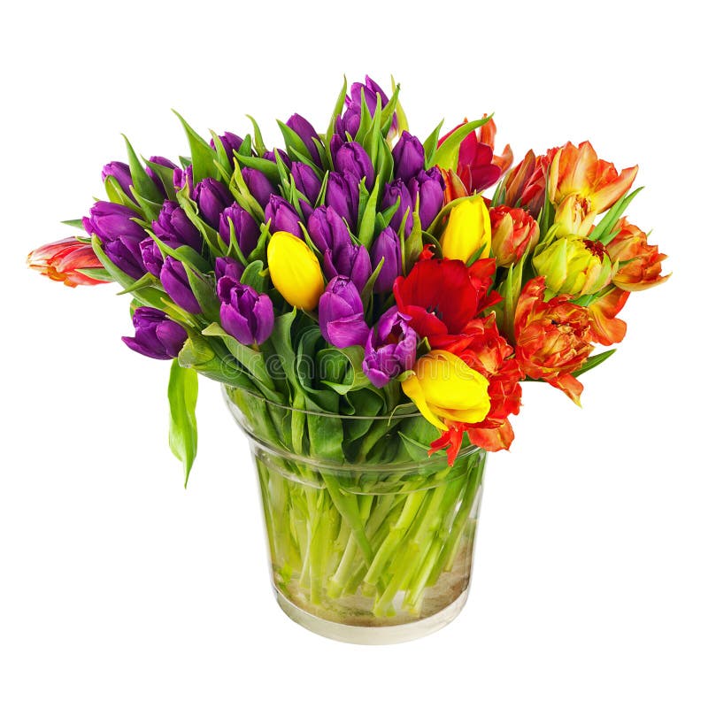Flower bouquet from colorful tulips in glass vase isolated.