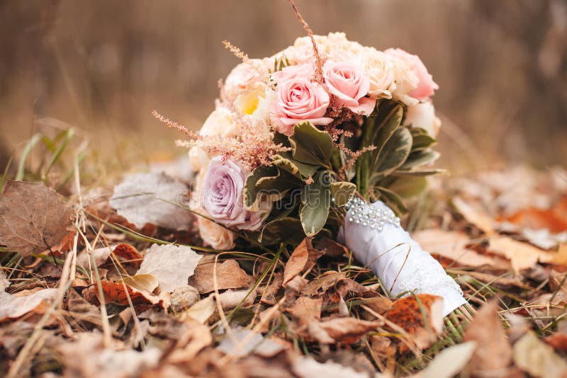 Pink Flower Lying On The Ground Stock Photo Image of stalk, petals