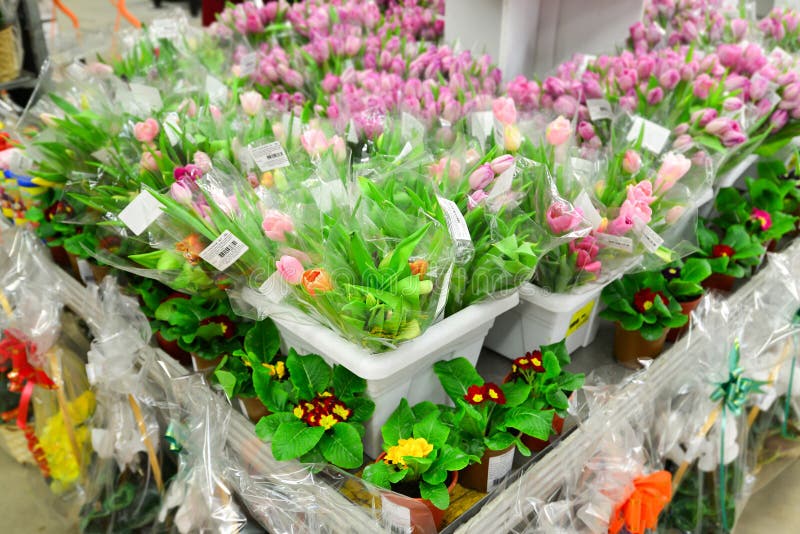 Flower Bouquet with a Lot of Different Flowers Stock Image Image of