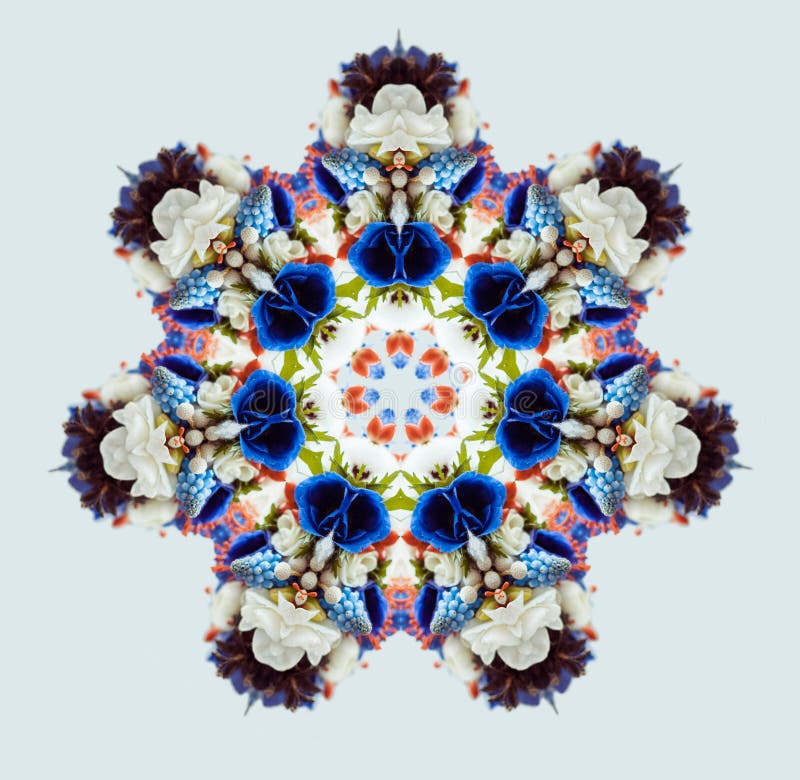 Flower bouquet mandala isolated on white background. Kaleidoscope effect. Flower mandala isolated on white background. Bouquet of anemones, ranunculus, muscari stock photography Flower bouquet mandala isolated on white background. Kaleidoscope effect. Flower mandala isolated on white background. Bouquet of anemones, ranunculus, muscari stock photography