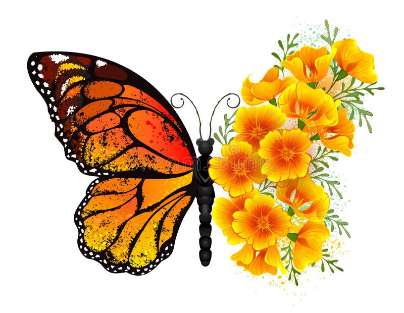 Flower butterfly with yellow california poppy