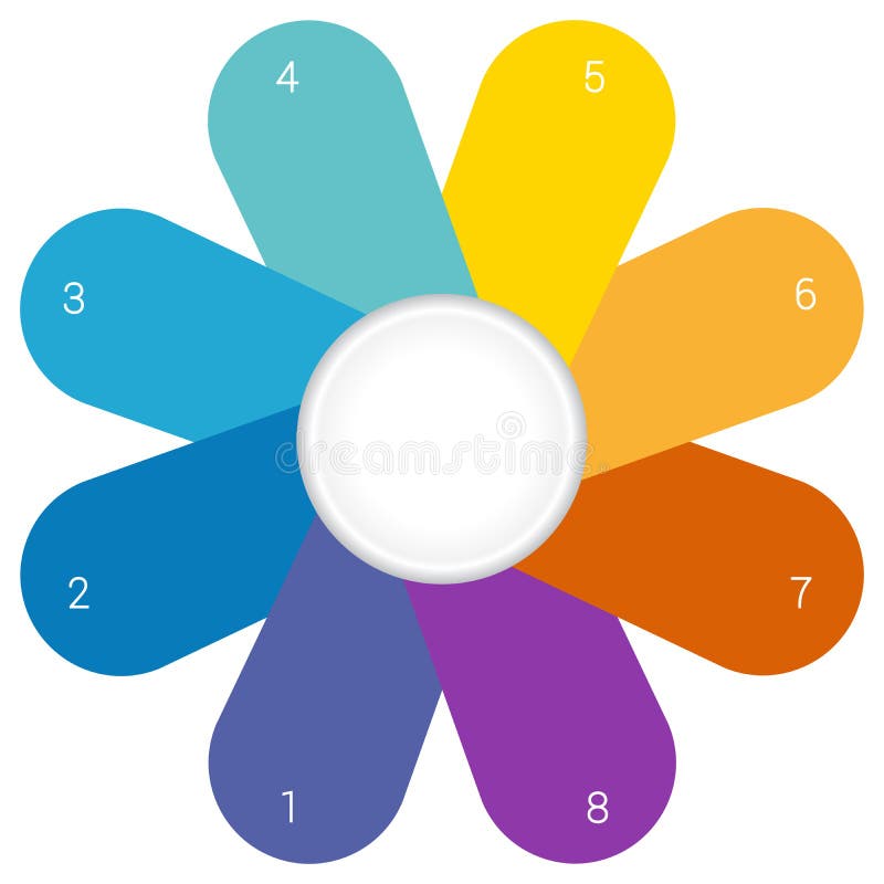 Flower Camomile infographic template colourful petals 8 position
