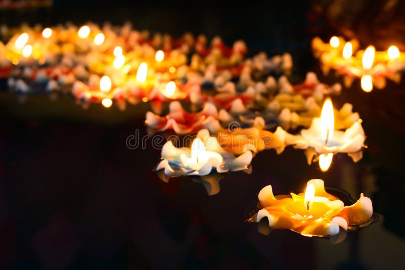 Flower and Candle Decoration Stock Photo Image of nature, orange