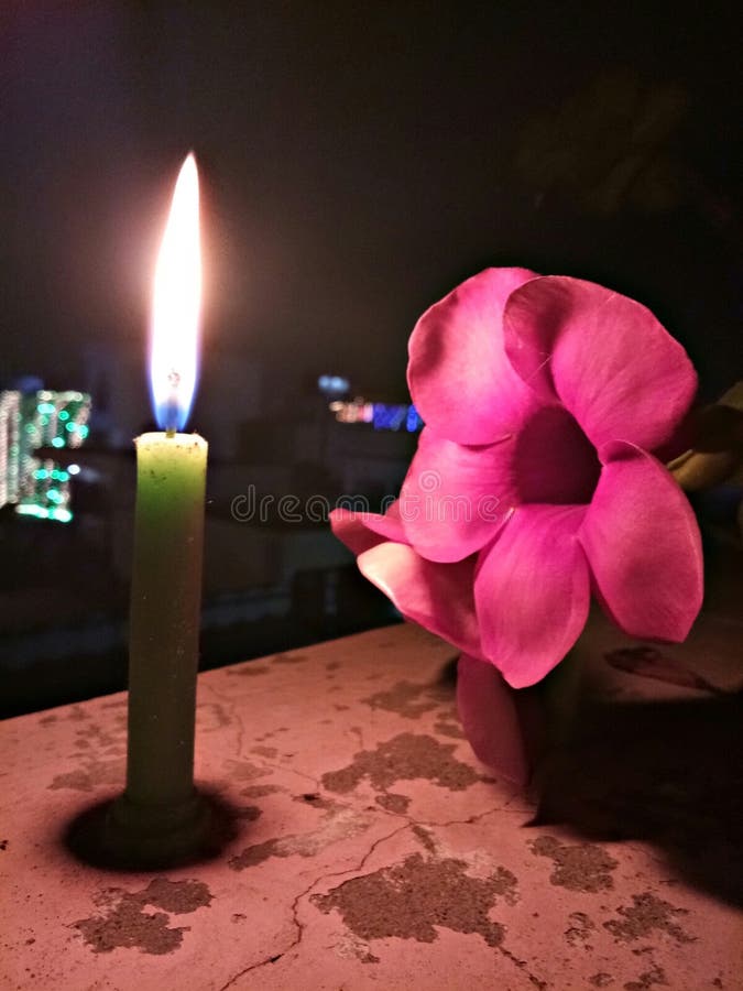 Flower and Candle stock photo. Image of flower, candle 121252194