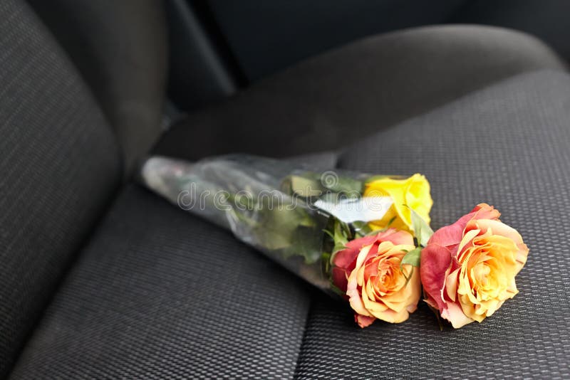 Flower on the car seat stock photo. Image of patient 47331492