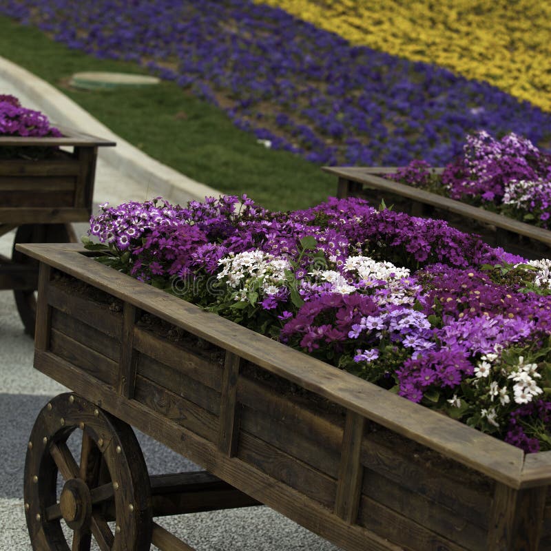 Flower carts stock image. Image of garden, flowers, wheel 31048317