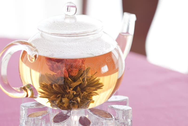 Carnation stock photo. Image of carnation, plant, purple 10881336