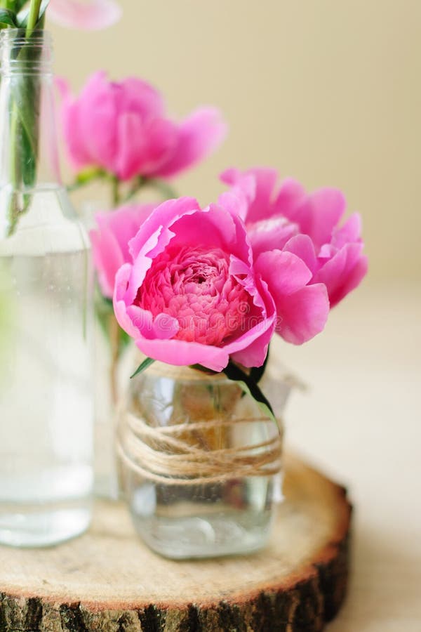 Flower composition with pink peonies stock image