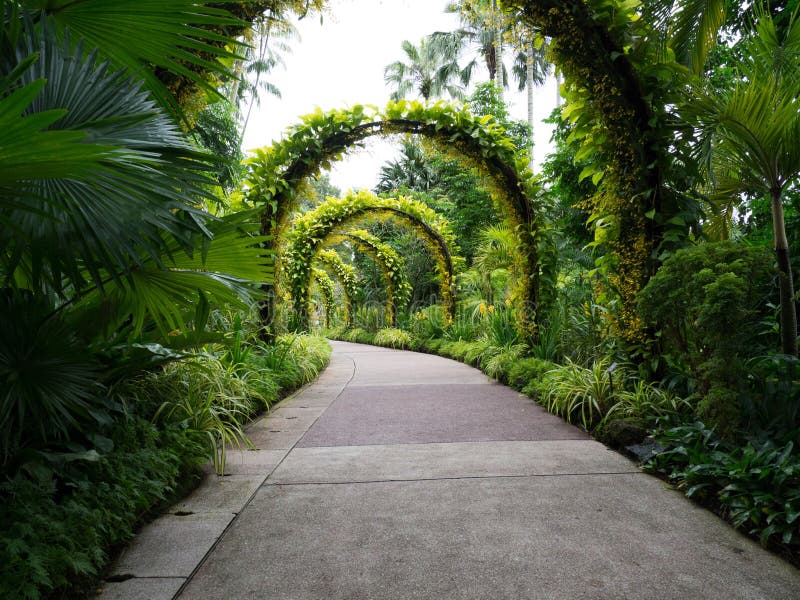 Flower Covered Archways in the Botanical Garden Over a Path Stock Photo ...