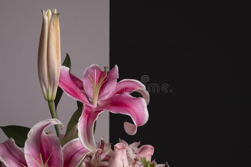 Flower Details of a Pink Flower Arrangement. Set of Pink Flowers and  Details. Stock Image - Image of green, alstroemeria: 205864265