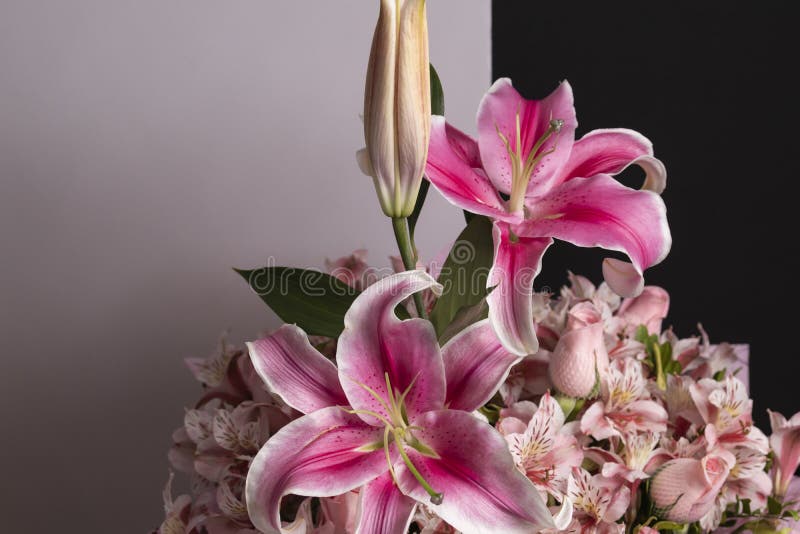 Flower Details of a Pink Flower Arrangement. Set of Pink Flowers and  Details. Stock Photo - Image of gift, arrangement: 205864398