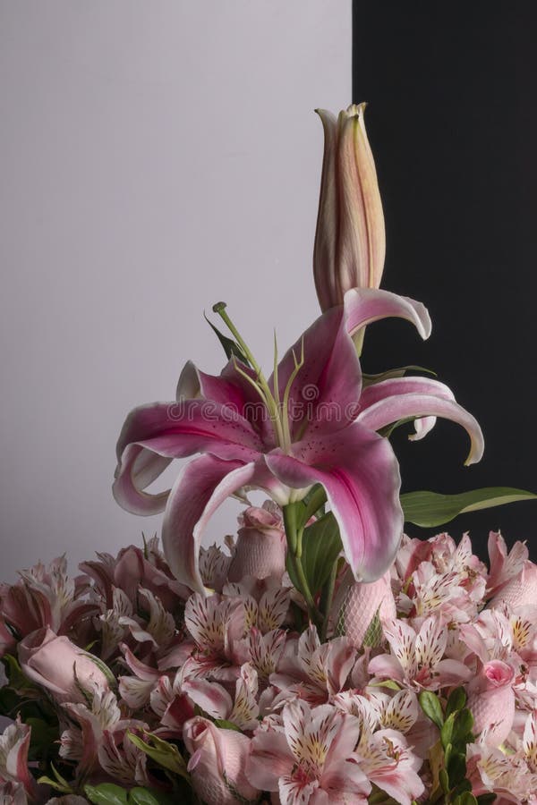 Flower Details of a Pink Flower Arrangement. Set of Pink Flowers and  Details. Stock Image - Image of green, alstroemeria: 205864265