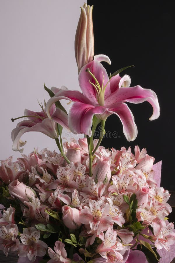 Flower Details of a Pink Flower Arrangement. Set of Pink Flowers and  Details. Stock Image - Image of green, alstroemeria: 205864265