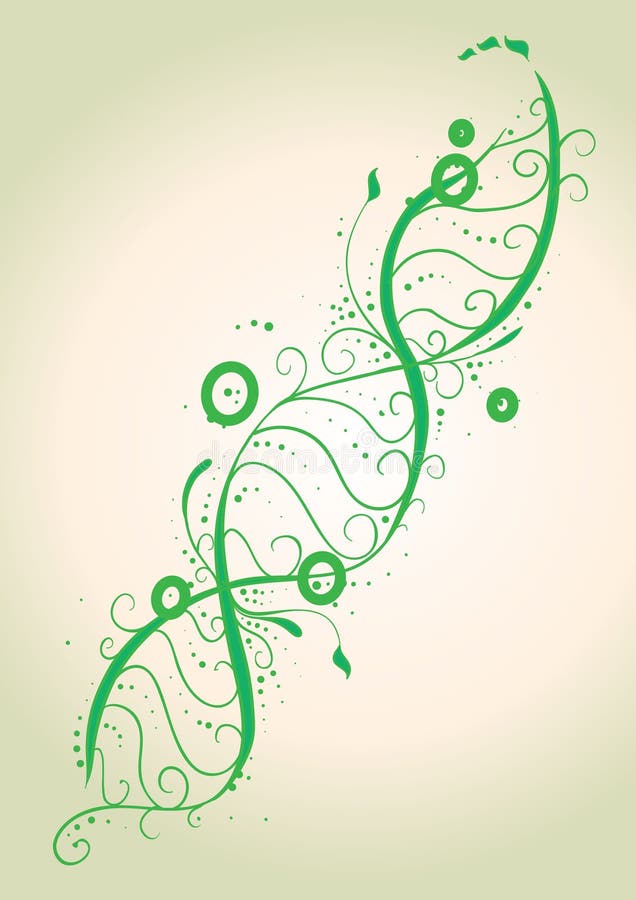 Flower dna strands stock vector. Image of background 13849548
