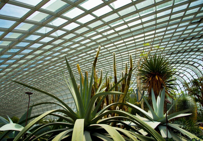 The Flower Dome stock photo. Image of park, indoor, green 159687506