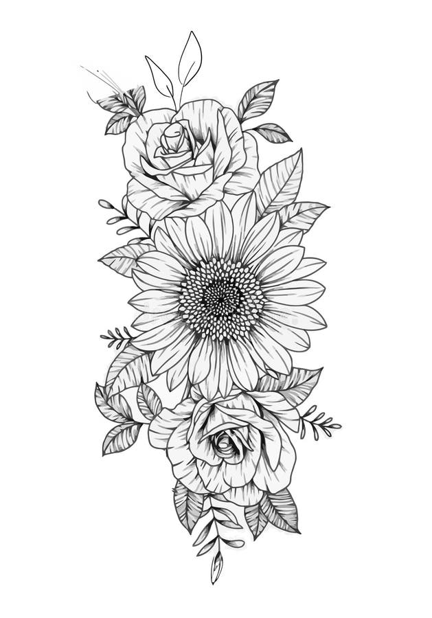 Flower Drawing Aesthetic, Beauty Vector Sketch Outline, Hand Drawn ...